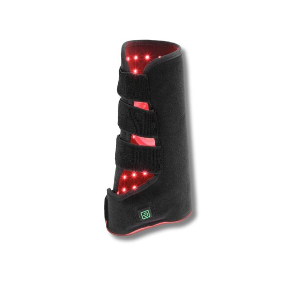 Rotlicht Gamasche Pferd AnoKath® LEG 110