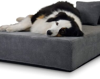 orthopädischen Hundebett