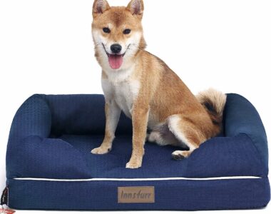 orthopädischen Hundebett