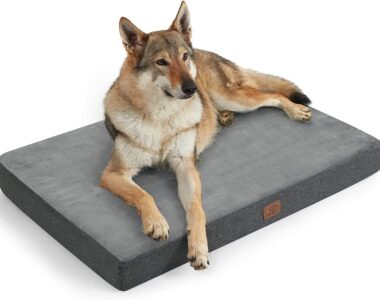orthopädischen Hundebett