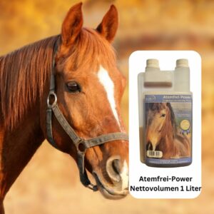 Atemfrei Power, Atemfrei Pferd, Atemwohl Pferd