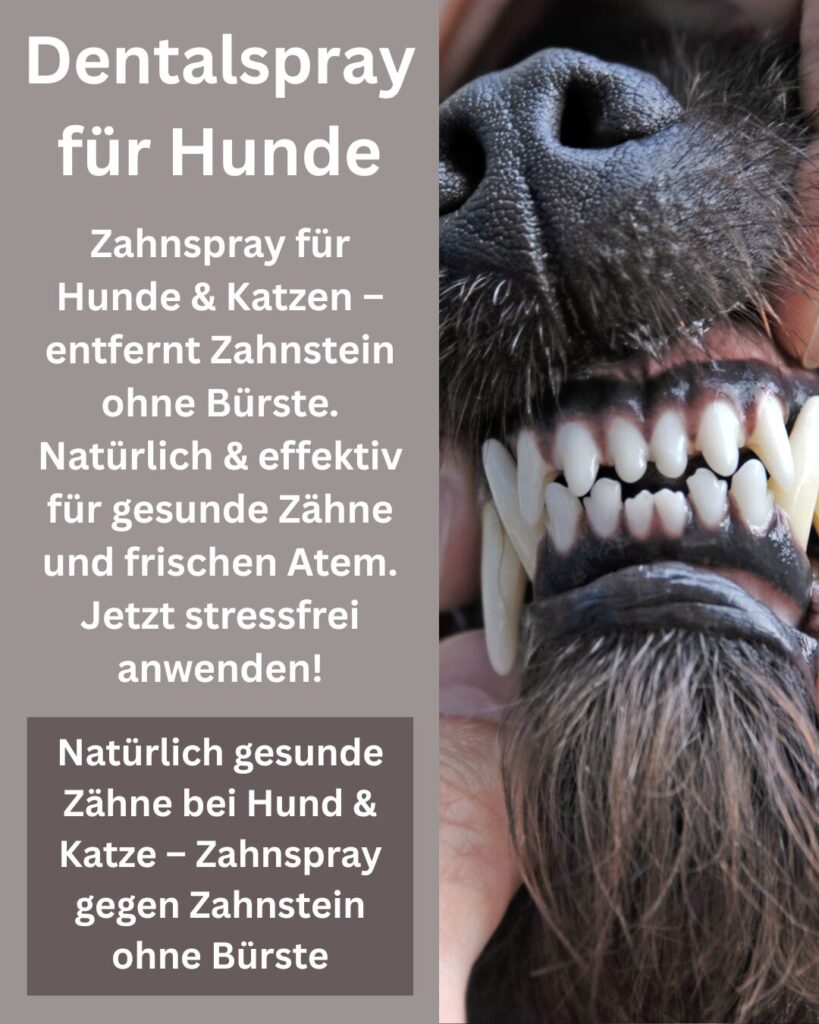 Dentalsspray für hunde, Zahnreinigungsspray