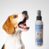 Dental Spray
