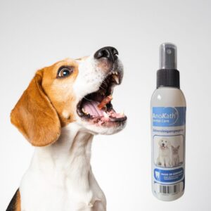 Dental Spray