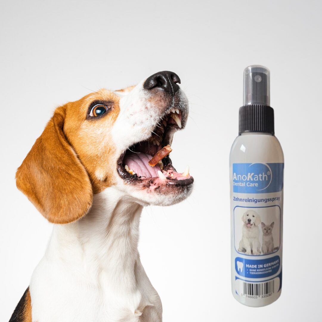 Dental Spray
