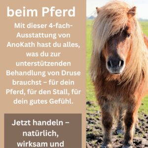 Druse Pferde