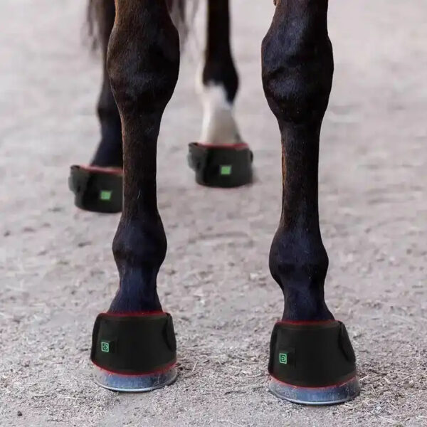 Rotlicht Pferd