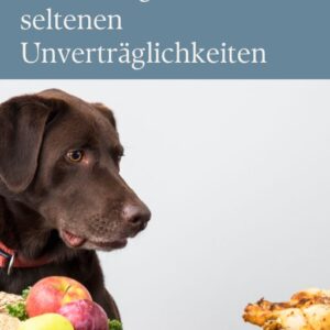 Ernährung bei Unverträglichkeiten