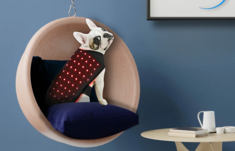 Rotlicht bei Hunden