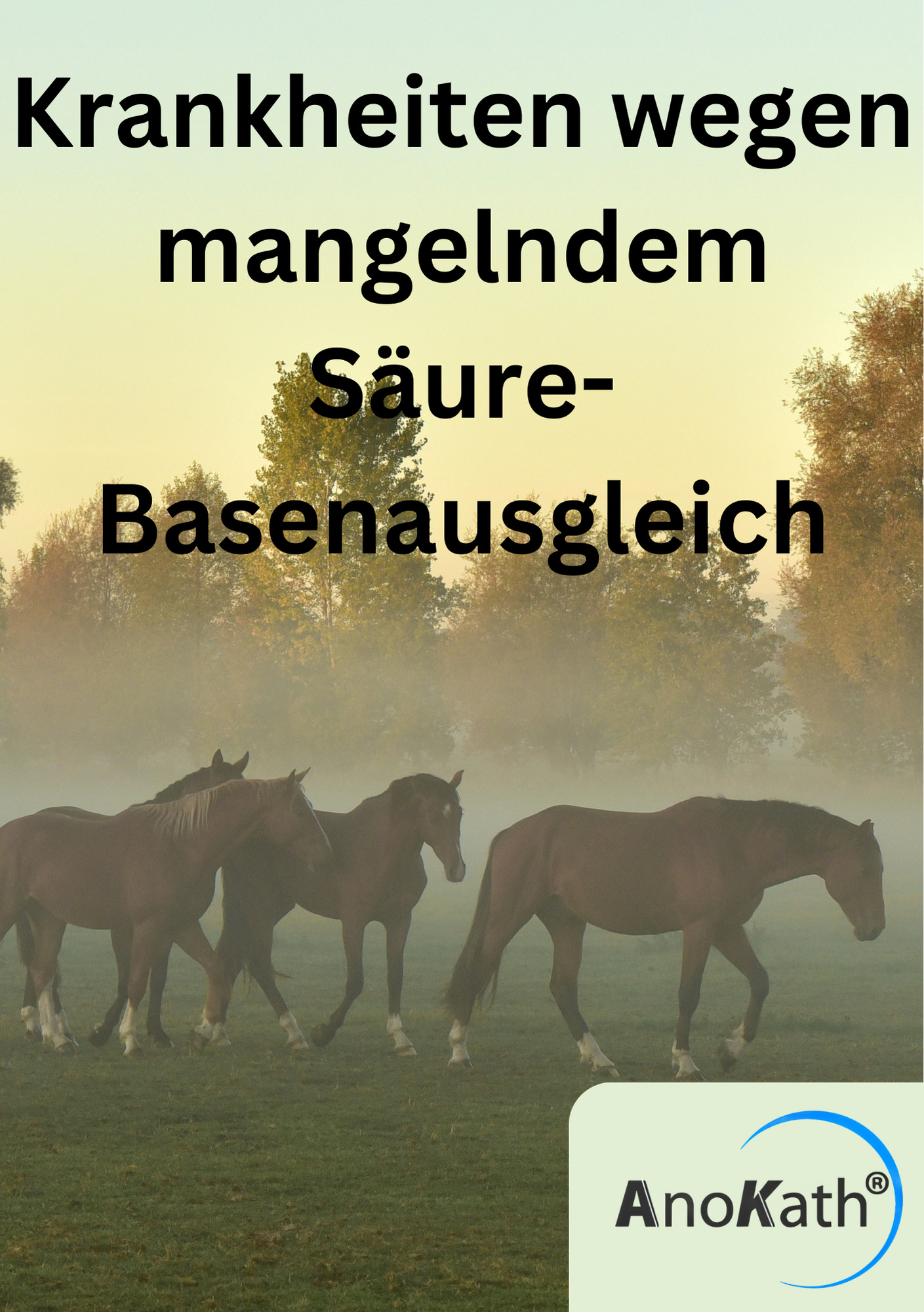 Säure Basen Haushalt AnoKath
