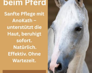 Mauke Pferd, Mauke beim Pferd