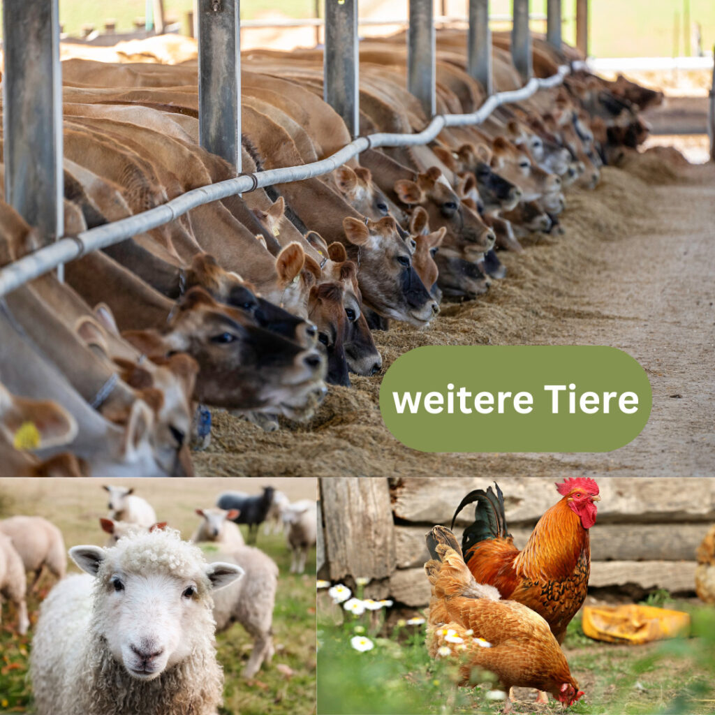 Navigator Tiere weitere Tiere