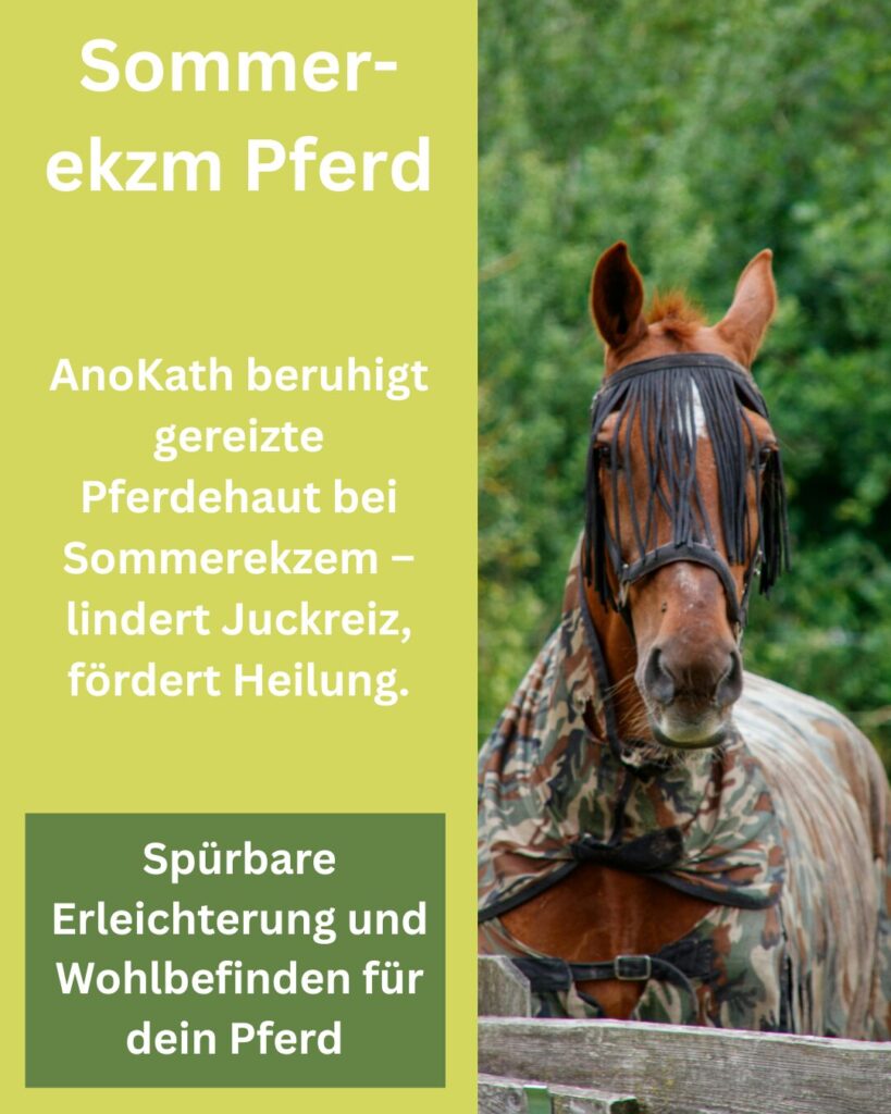 Sommerekzem Pferd