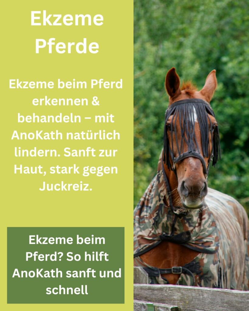 Ekzeme Pferde