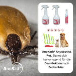 Zeckeninfektion Zecken-Bundel