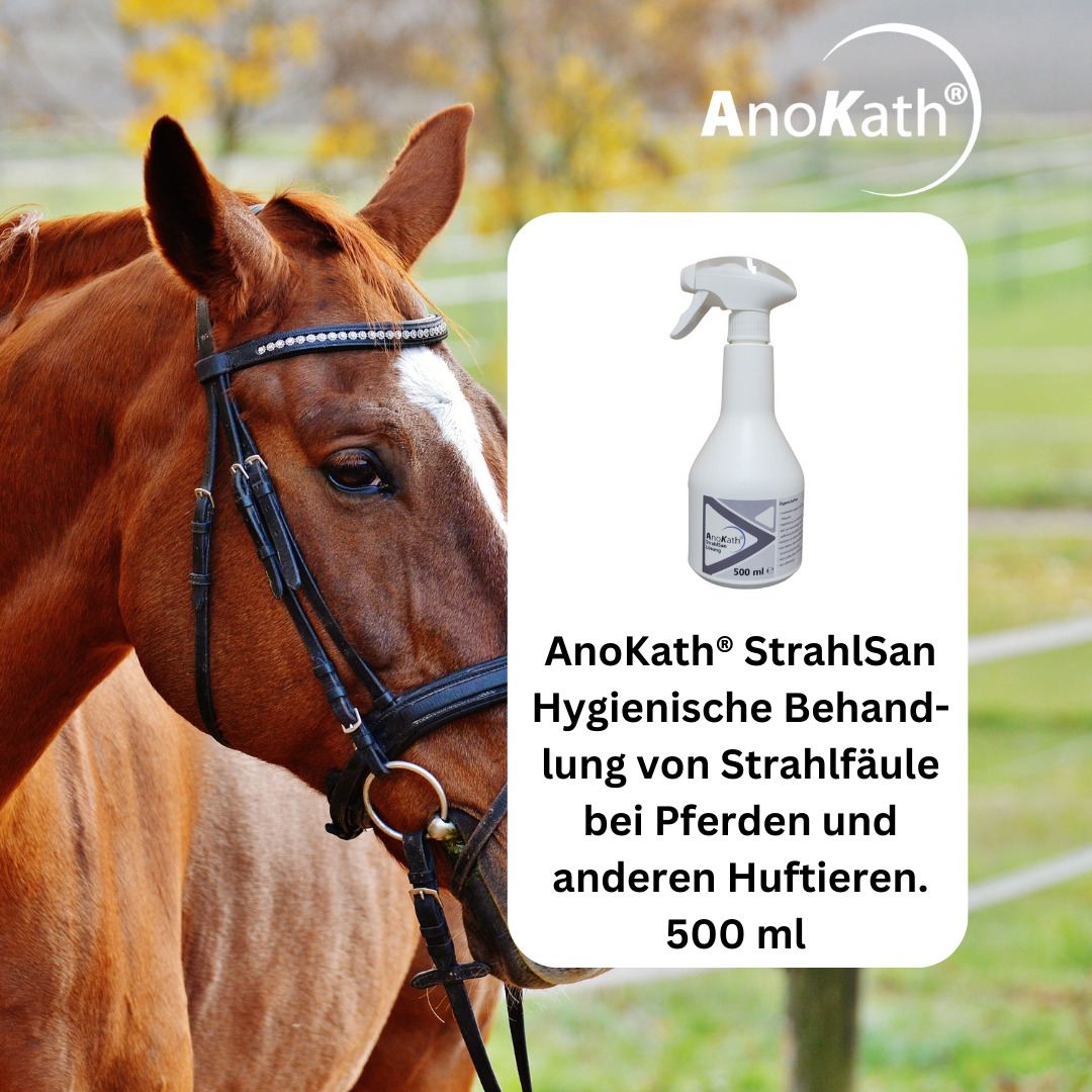 StrahlSan