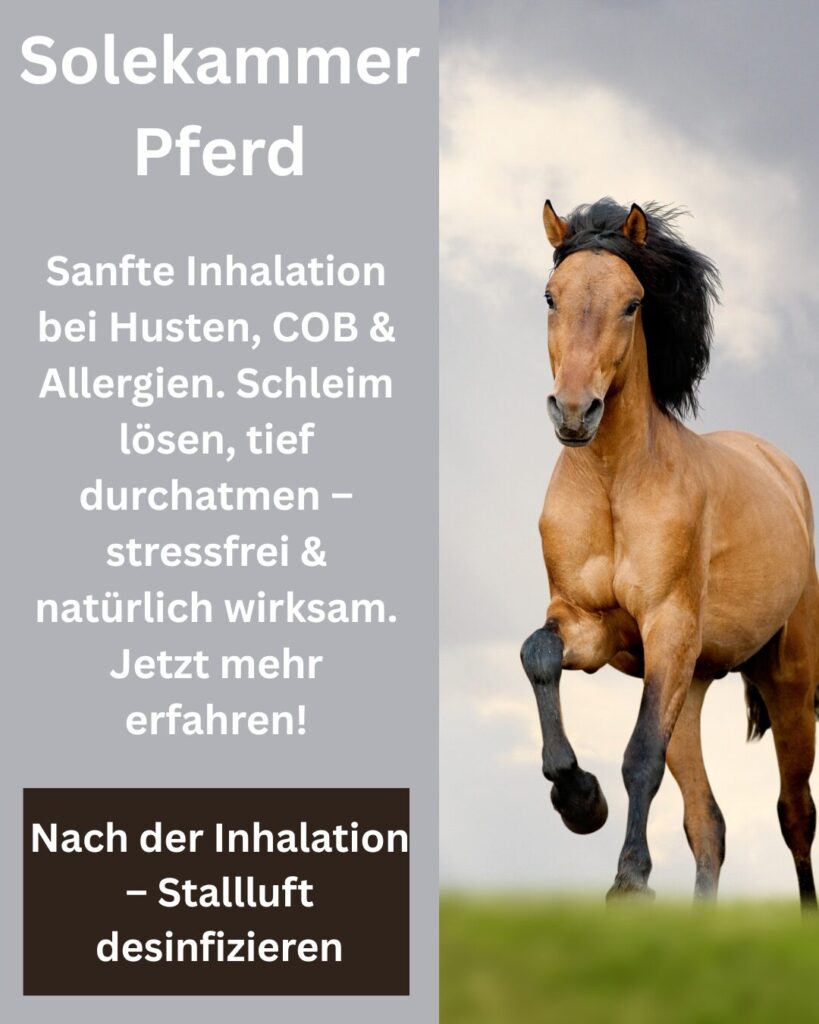 Solekammer Pferd