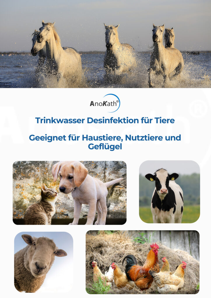 Trinkwasser Desinfektion für Tiere