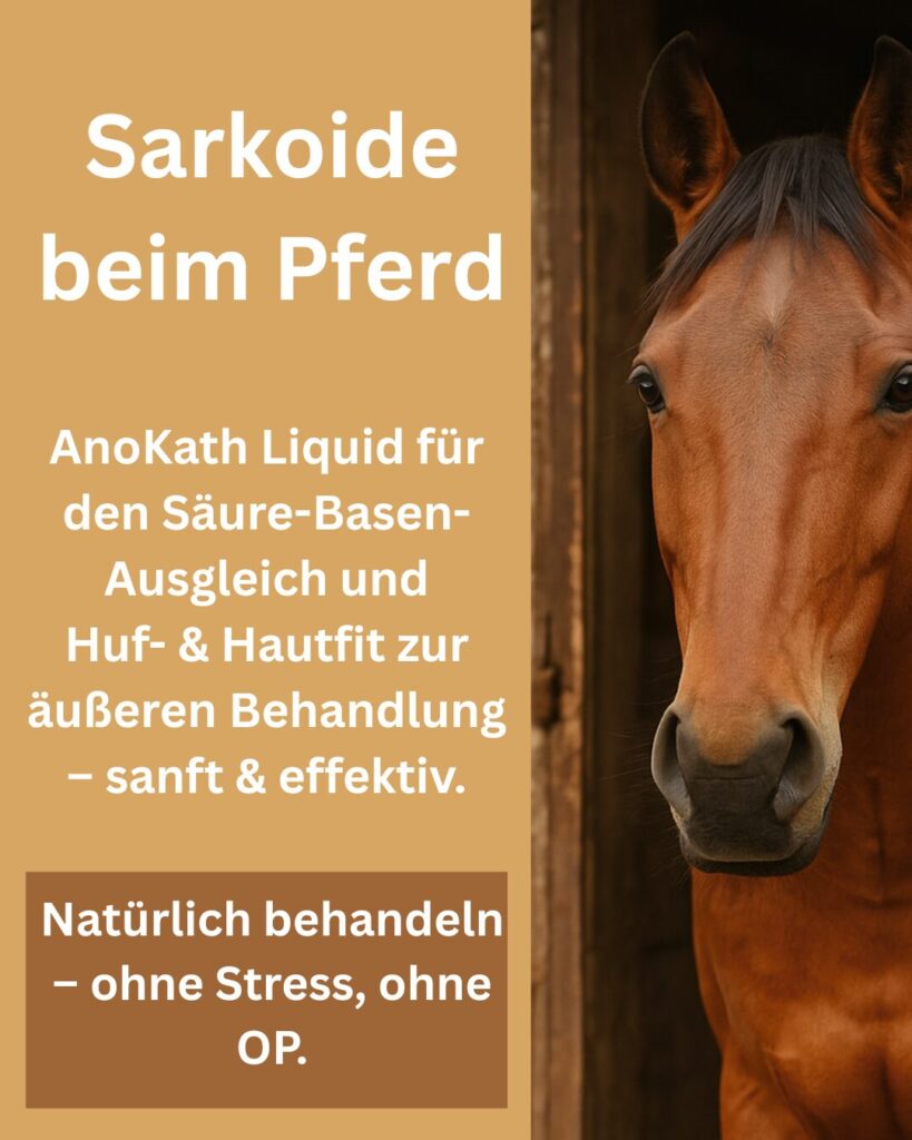 Sarkoide beim Pferd, Sarkoid Pferd