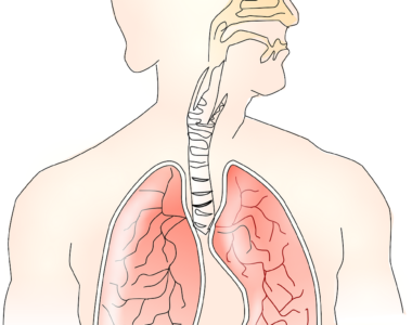 COPD, Asthma