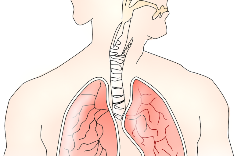COPD, Asthma