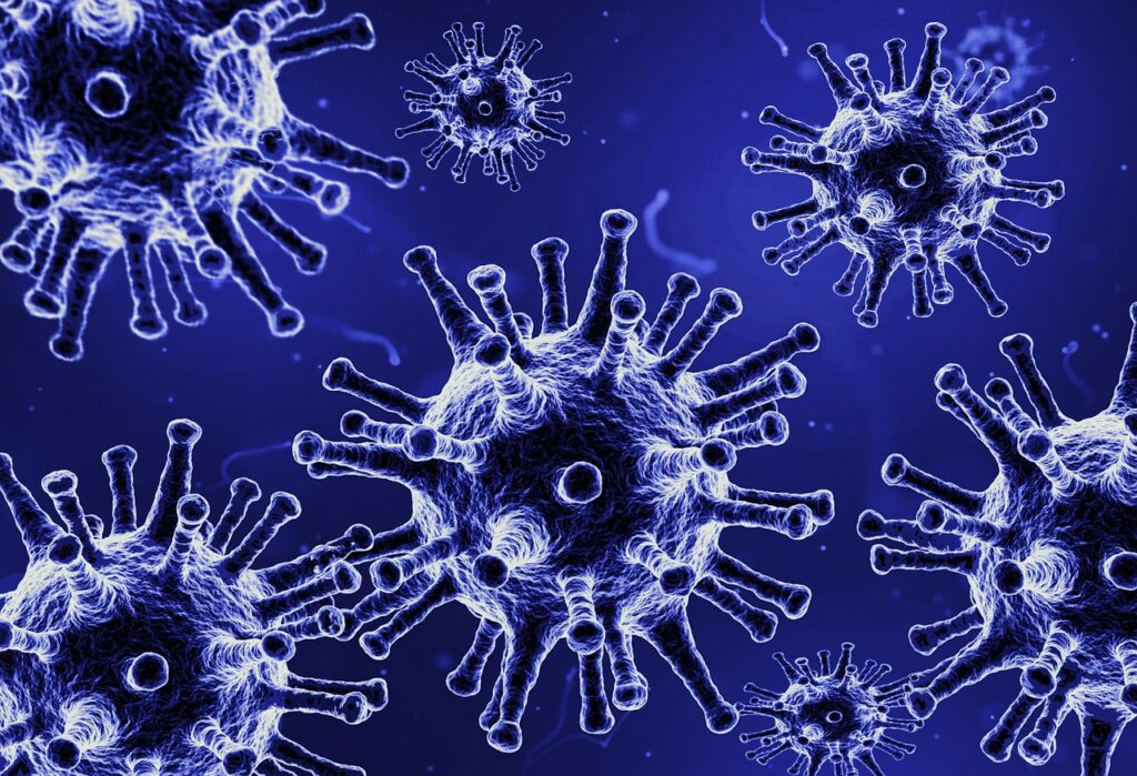 Bornavirus, Borna-Virus