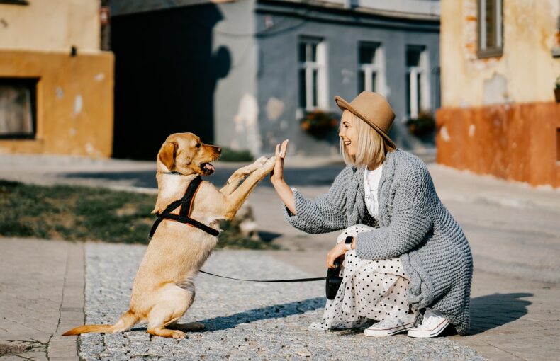 Immunsystem Hund stärken