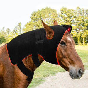 Rotlichttherapie Pferd