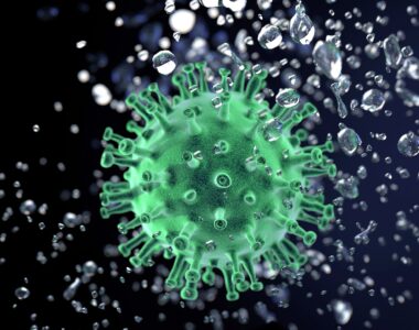 Norovirus