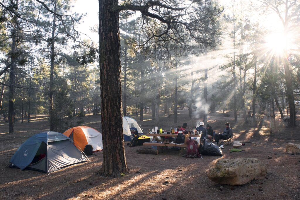 Trekking & Survival